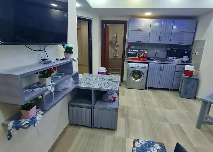 Feels Like Home, Furnitured, Kitchen, Central, Wifi Near Air Port 公寓